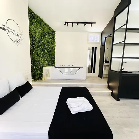 Apartment In The Avec Jacuzzi Privatif - Hyper Centre