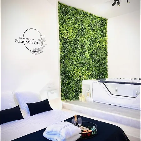 In The Avec Jacuzzi Privatif - Hyper Centre Montpellier