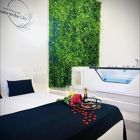 Apartment In The Avec Jacuzzi Privatif - Hyper Centre Montpellier