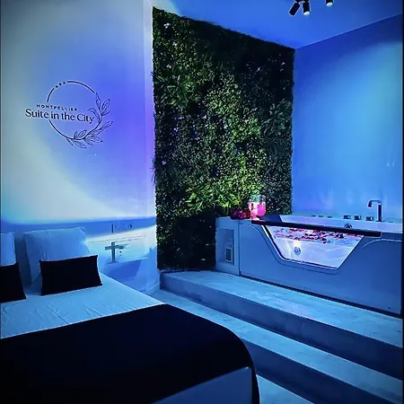 In The Avec Jacuzzi Privatif - Hyper Centre