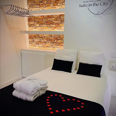 In The Avec Jacuzzi Privatif - Hyper Centre Apartment Montpellier