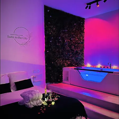 In The Avec Jacuzzi Privatif - Hyper Centre Apartment *
