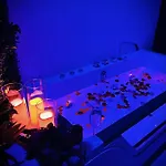In The Avec Jacuzzi Privatif - Hyper Centre *