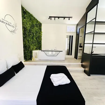 Apartmán In The Avec Jacuzzi Privatif - Hyper Centre