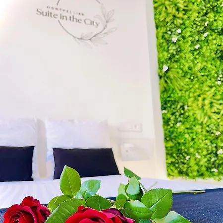 Apartamento In The Avec Jacuzzi Privatif - Hyper Centre